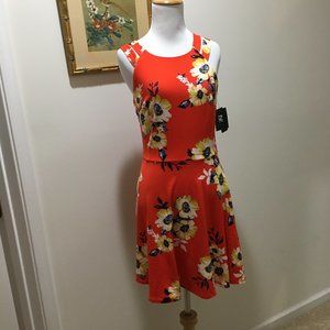 🌻NEW iZ Byer Orange Fit & Flare Floral Dress
